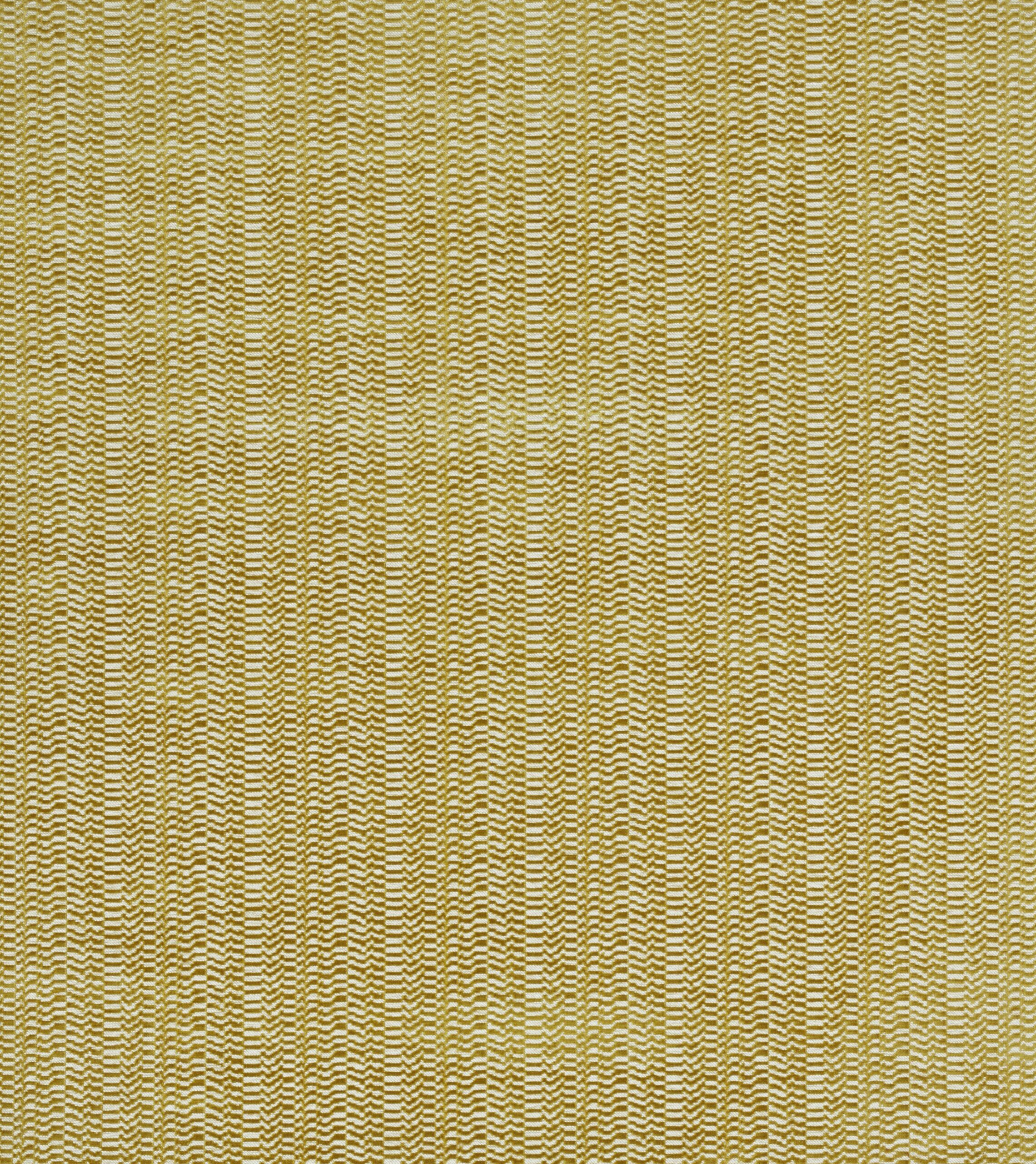 Ren 7