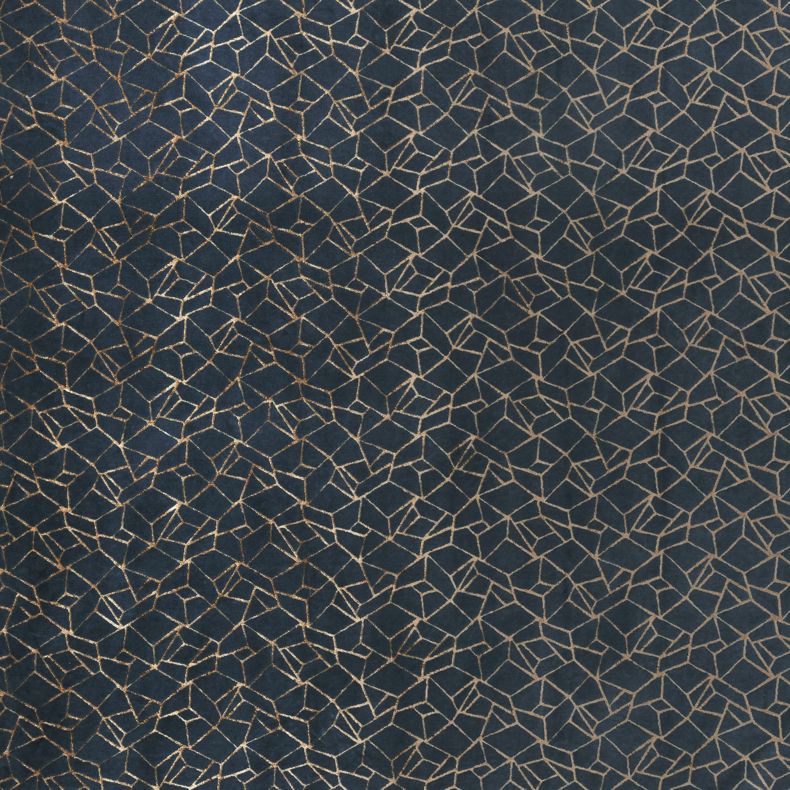 Zahavi 6