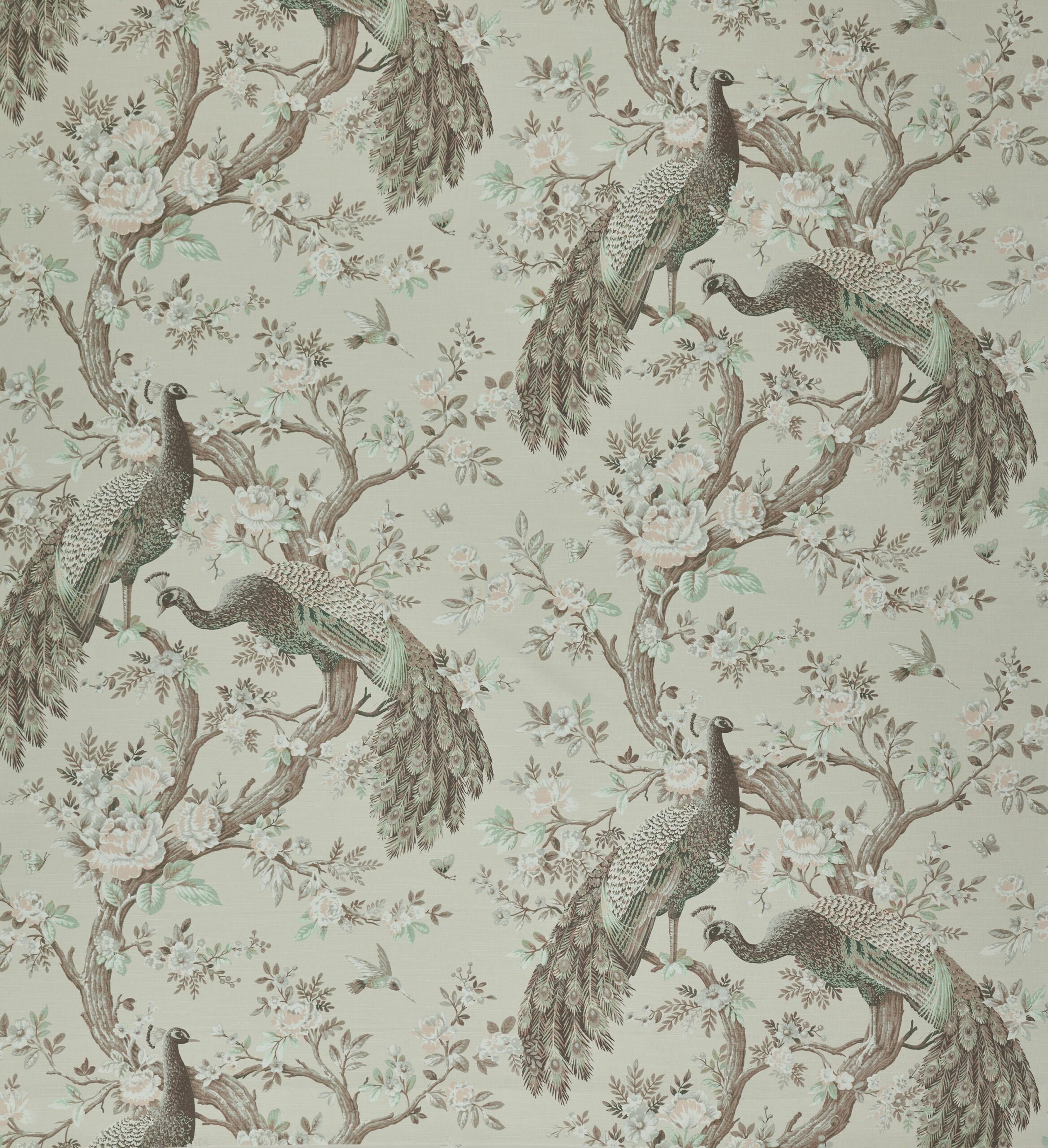 Belvedere 4