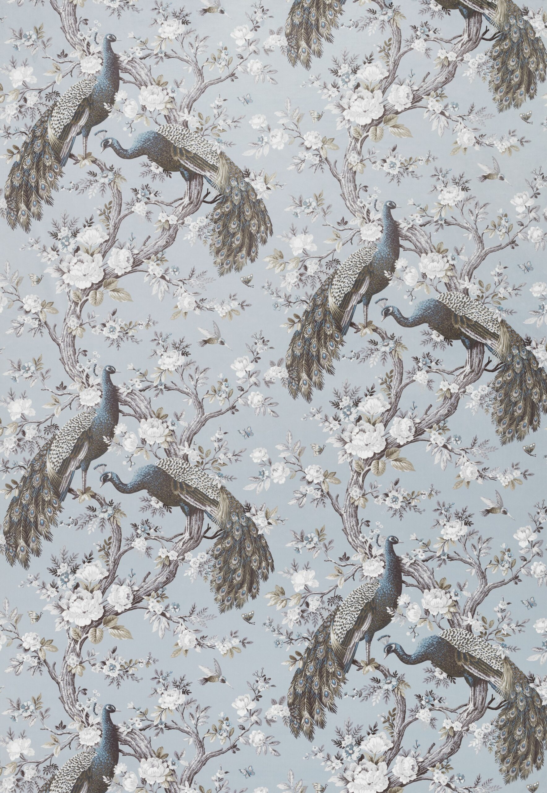 Belvedere Velvet 2