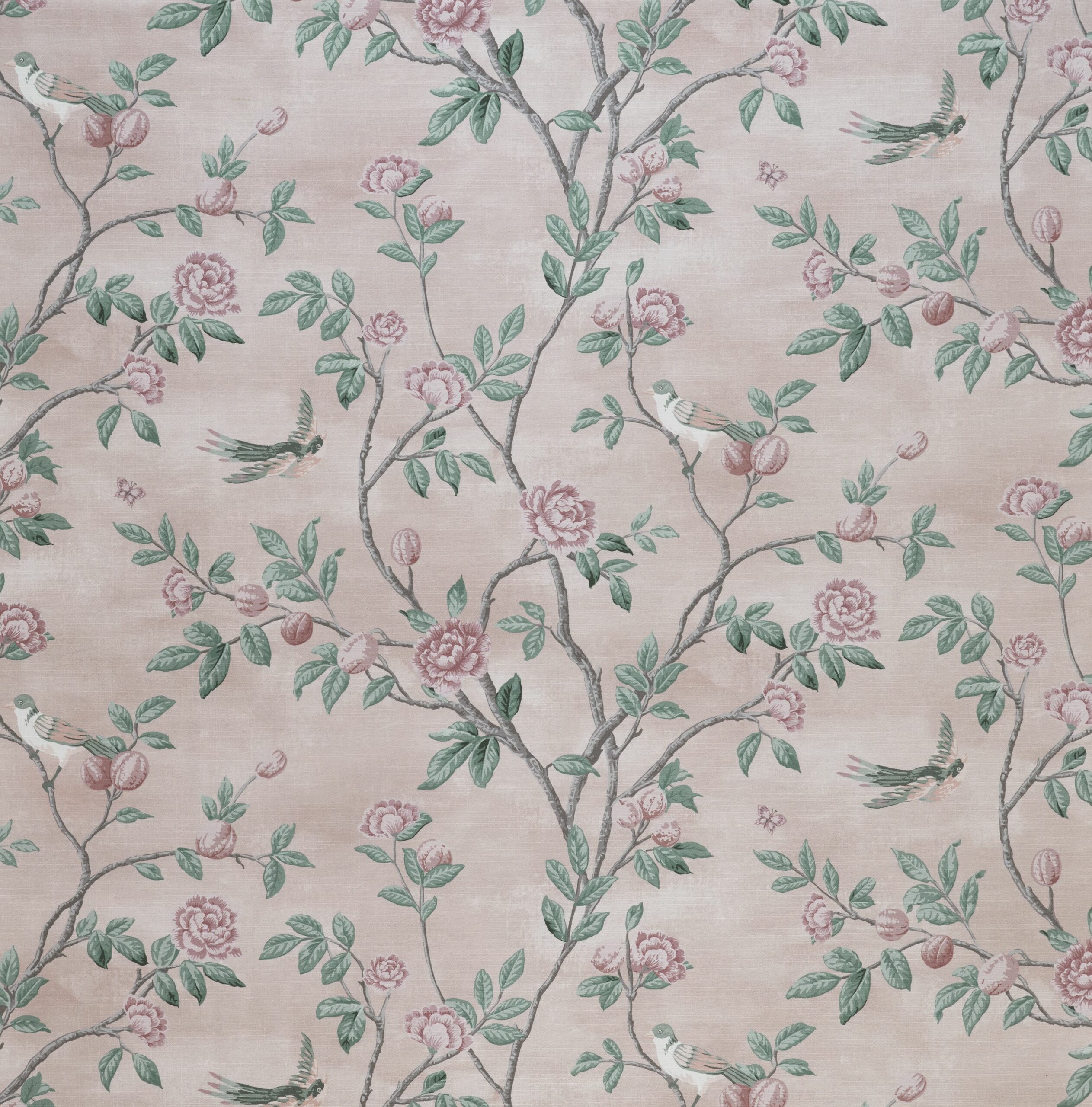 Eglantine 2