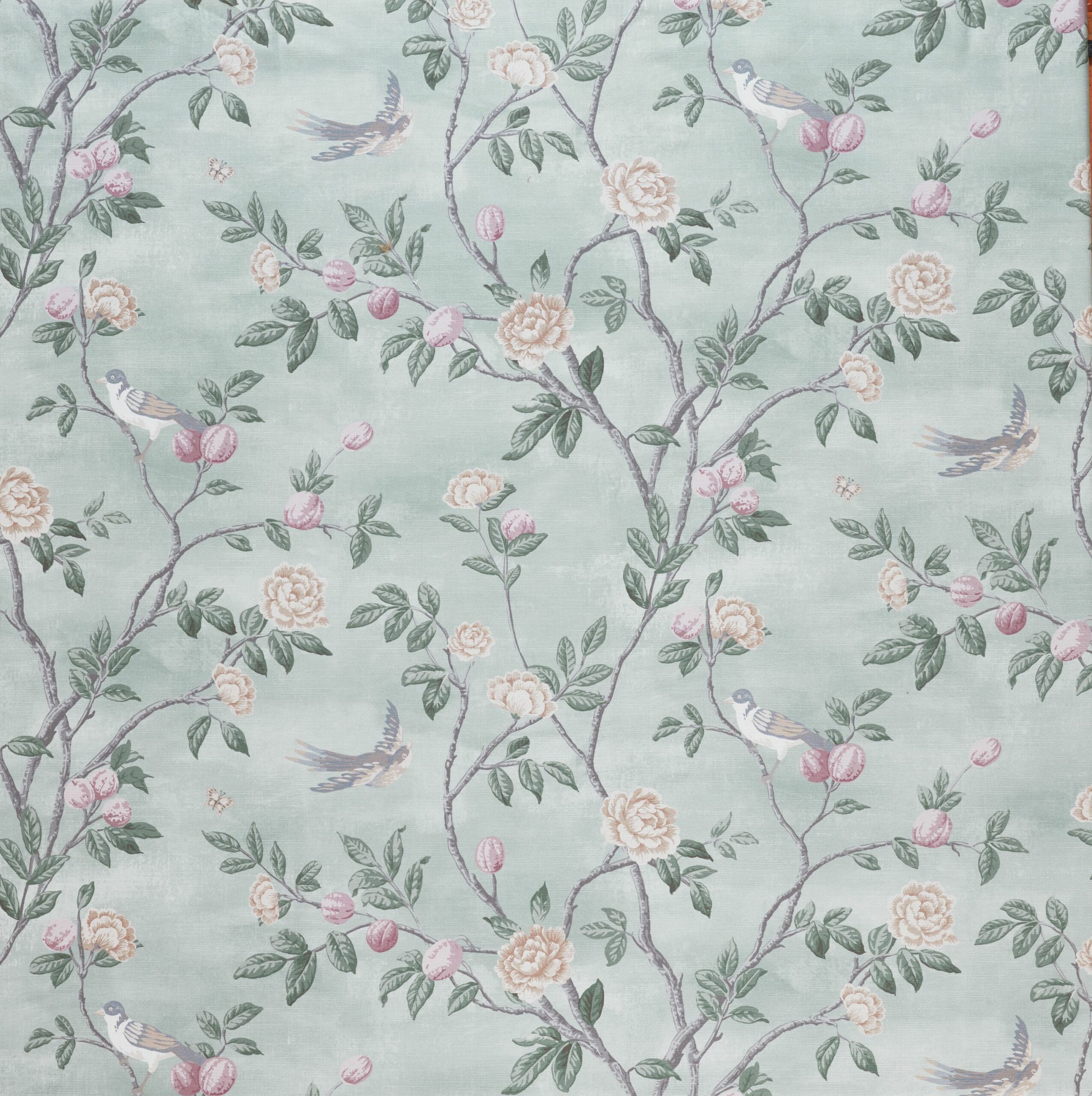 Eglantine 4