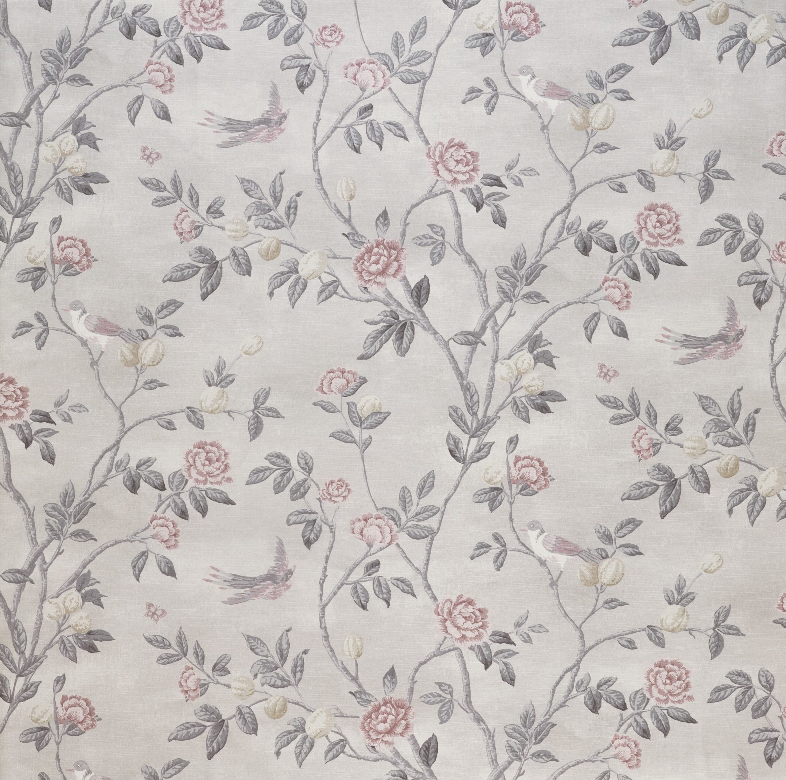 Eglantine 4