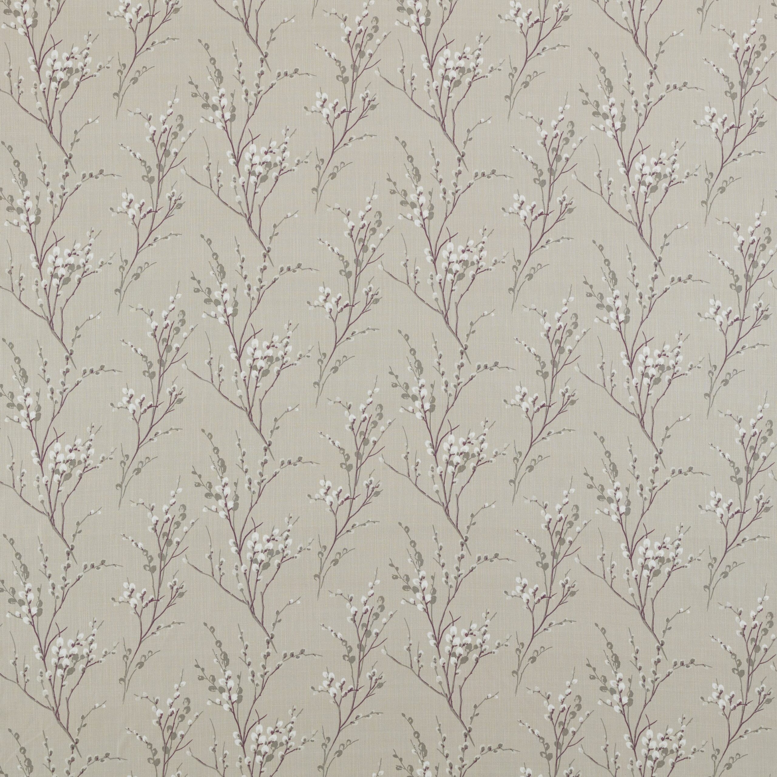 Pussywillow 2
