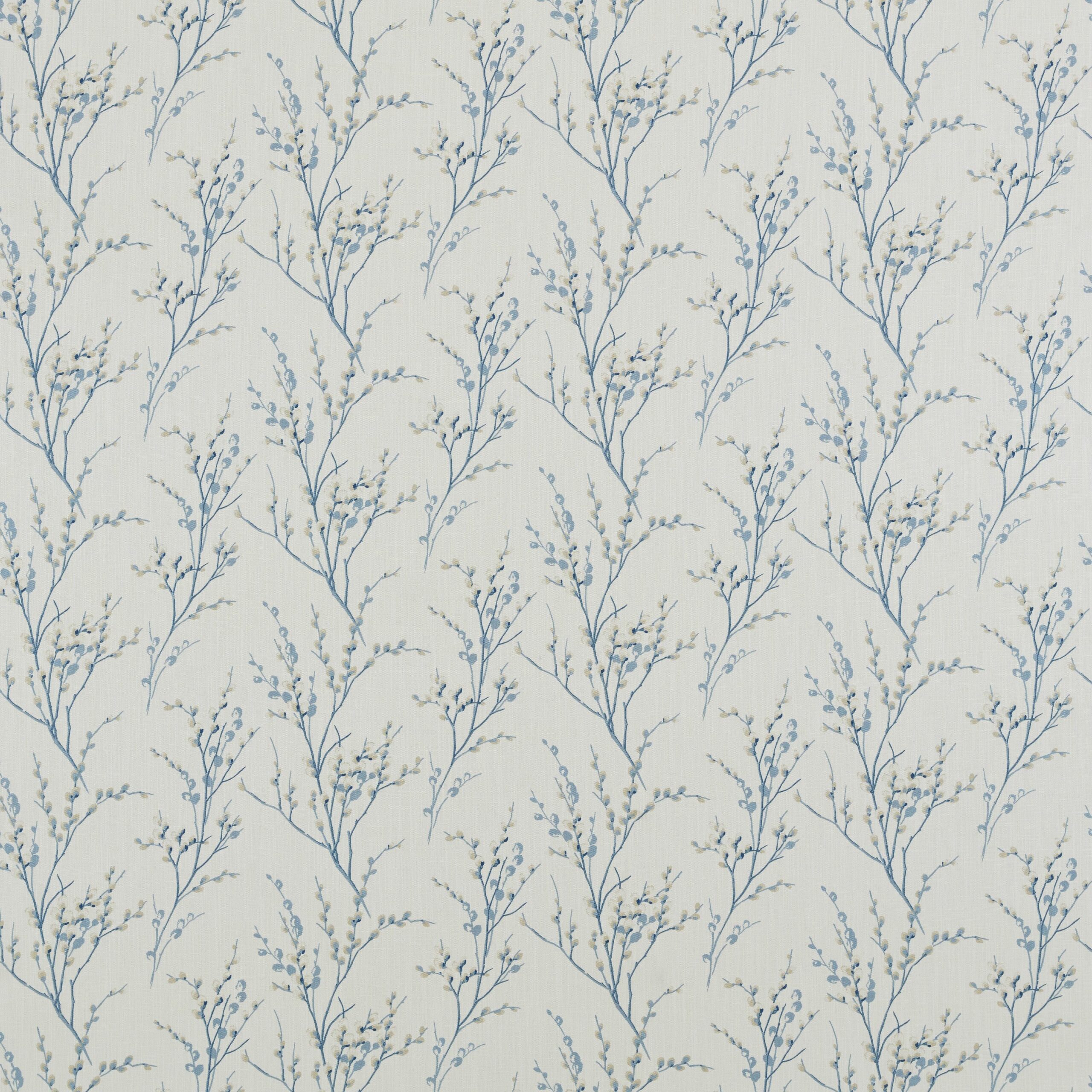 Pussywillow 3