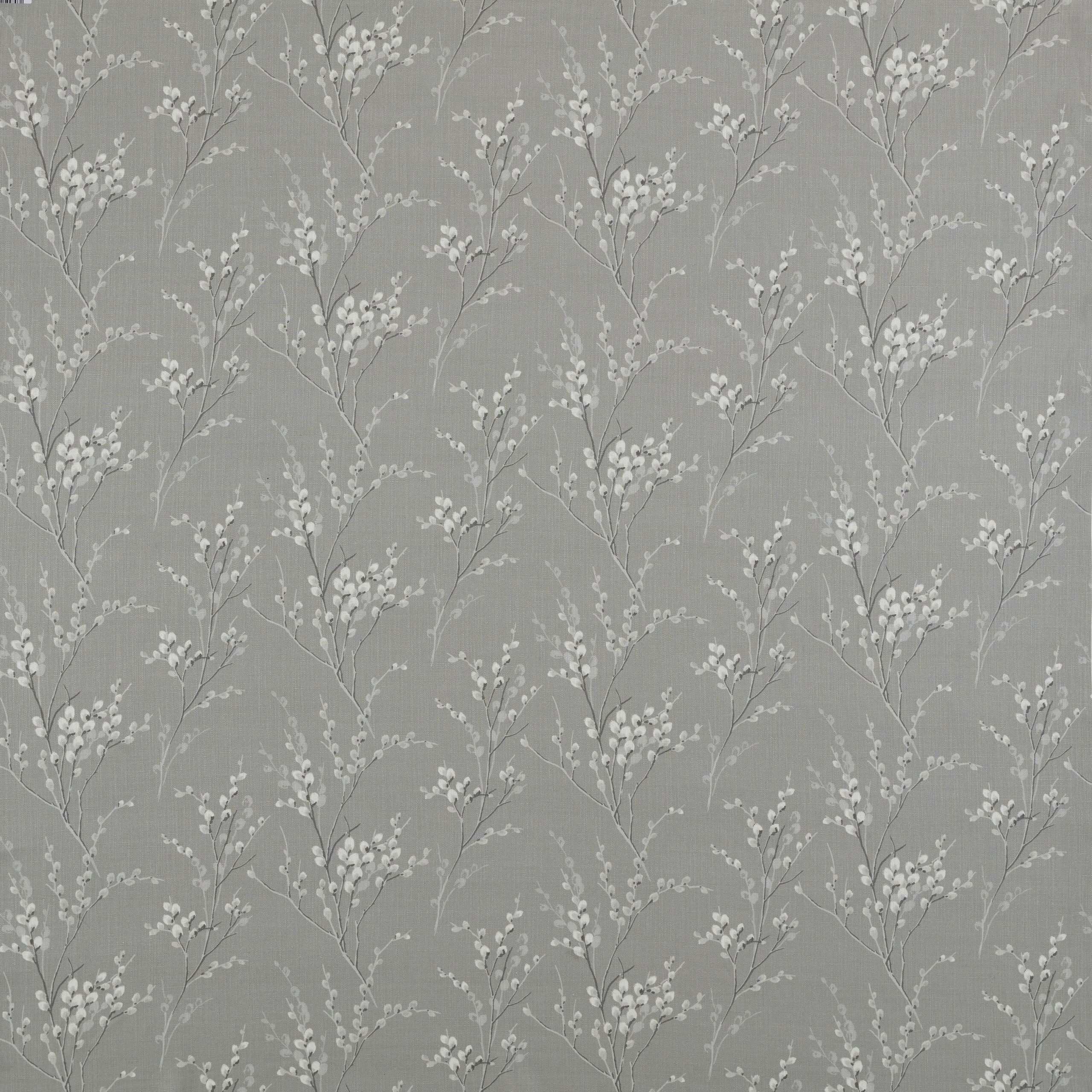 Pussywillow 4