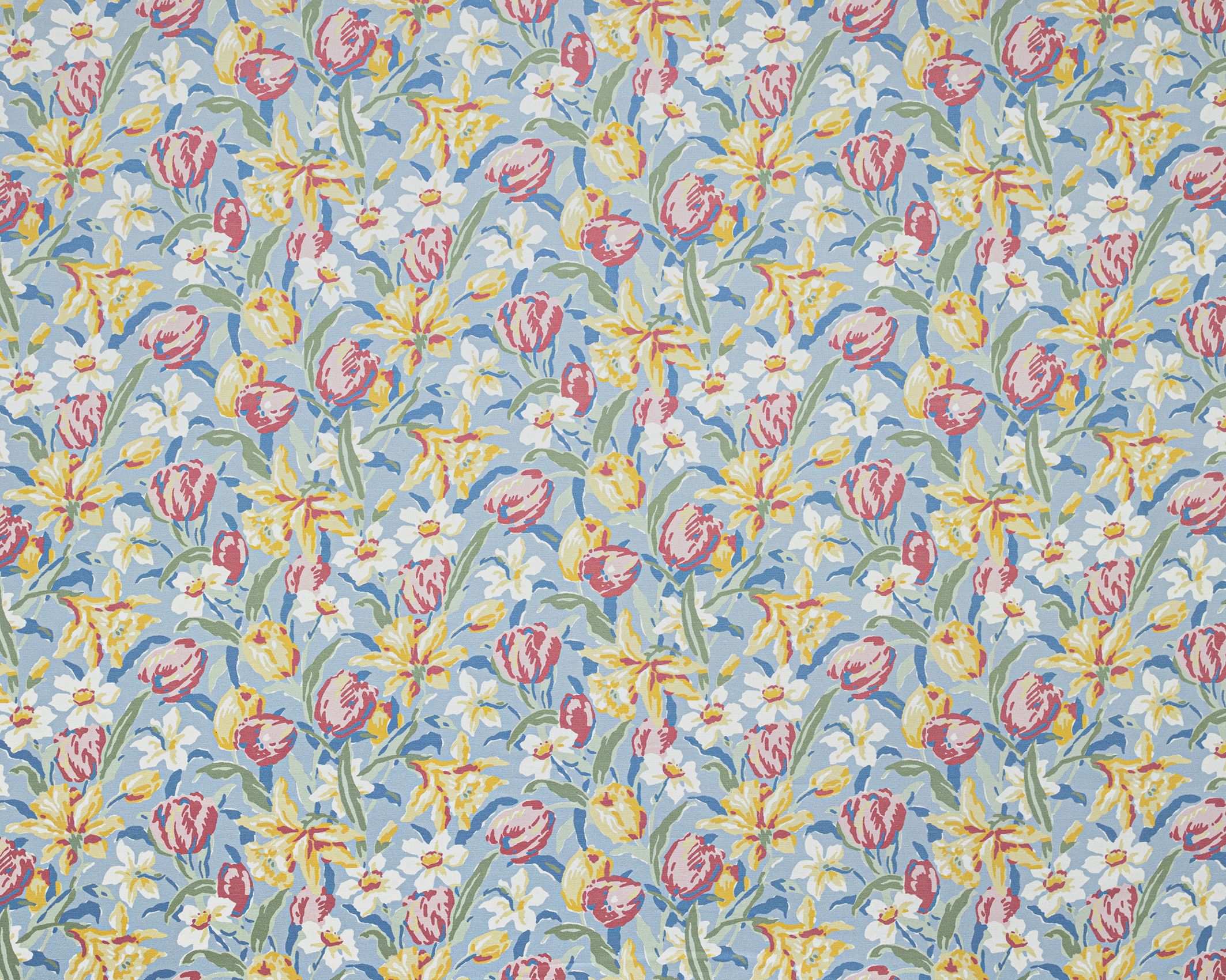 Tulips 2