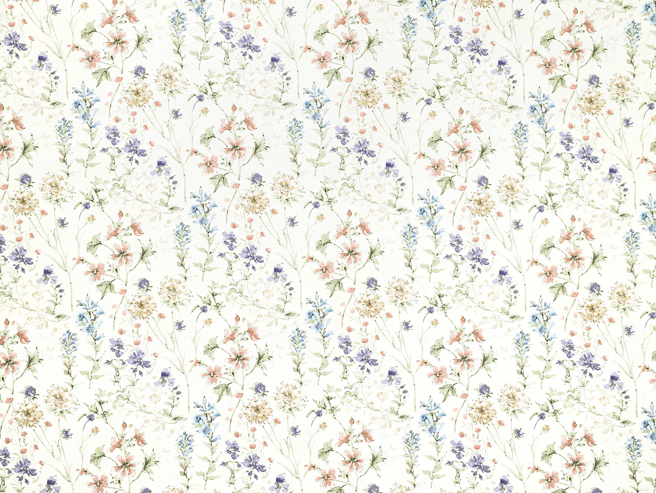 Wild Meadow 2