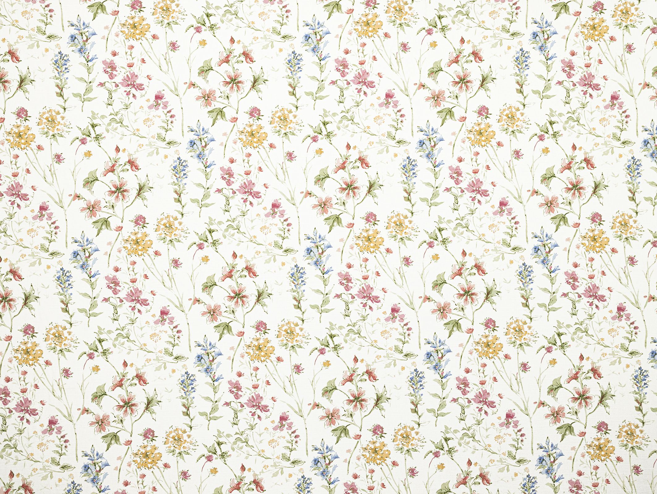 Wild Meadow 3