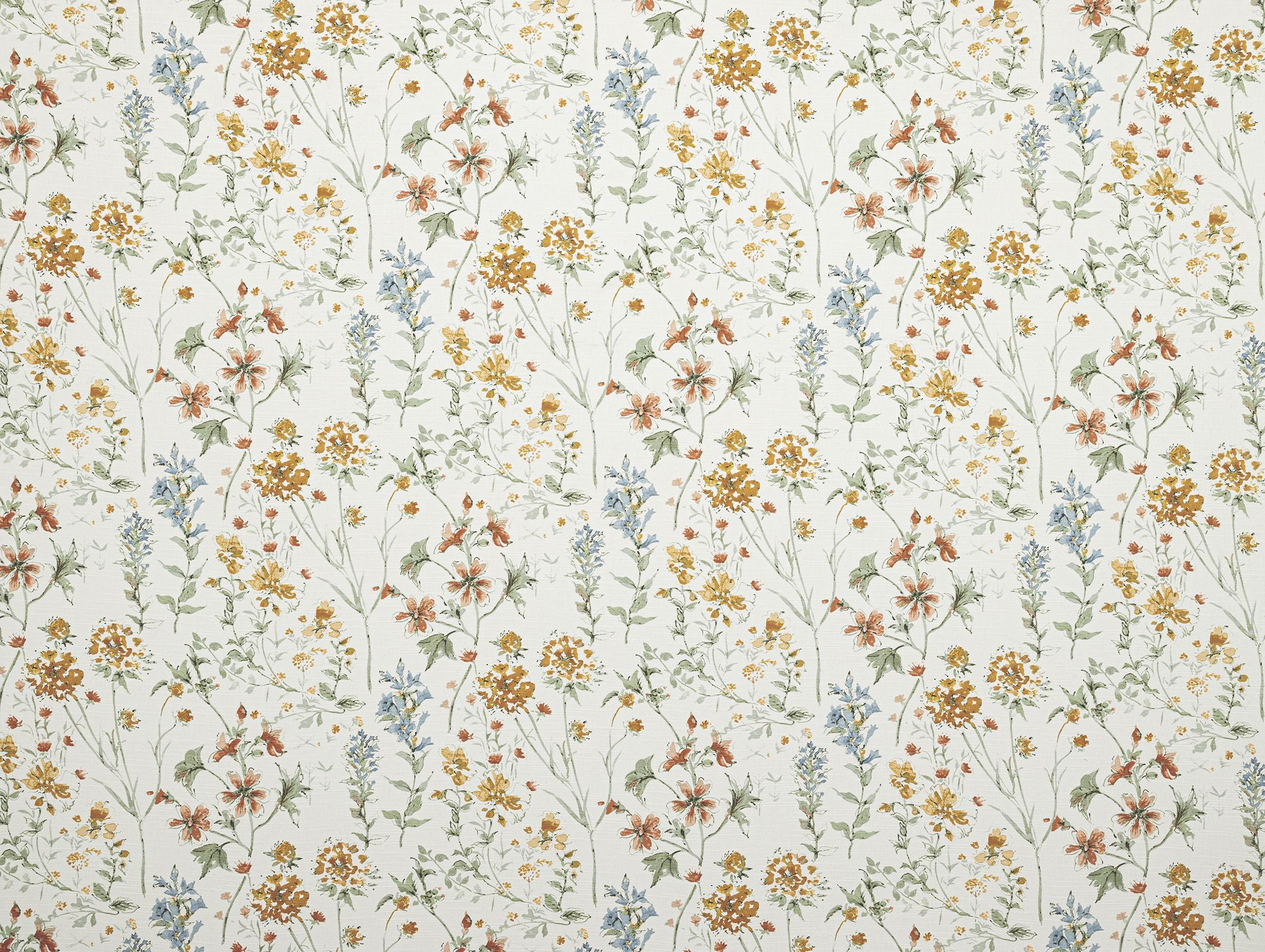 Wild Meadow 4