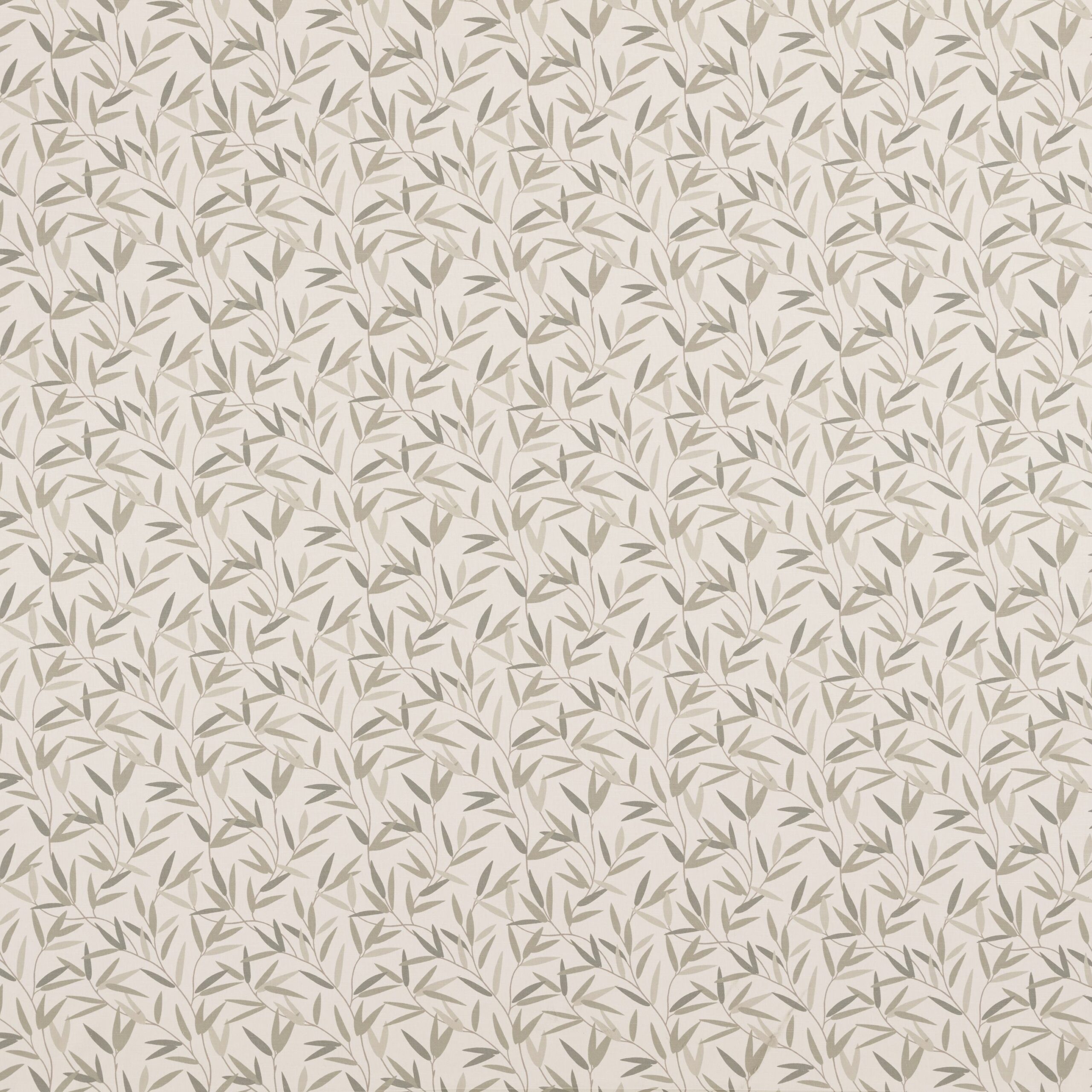 Willow Leaf 2
