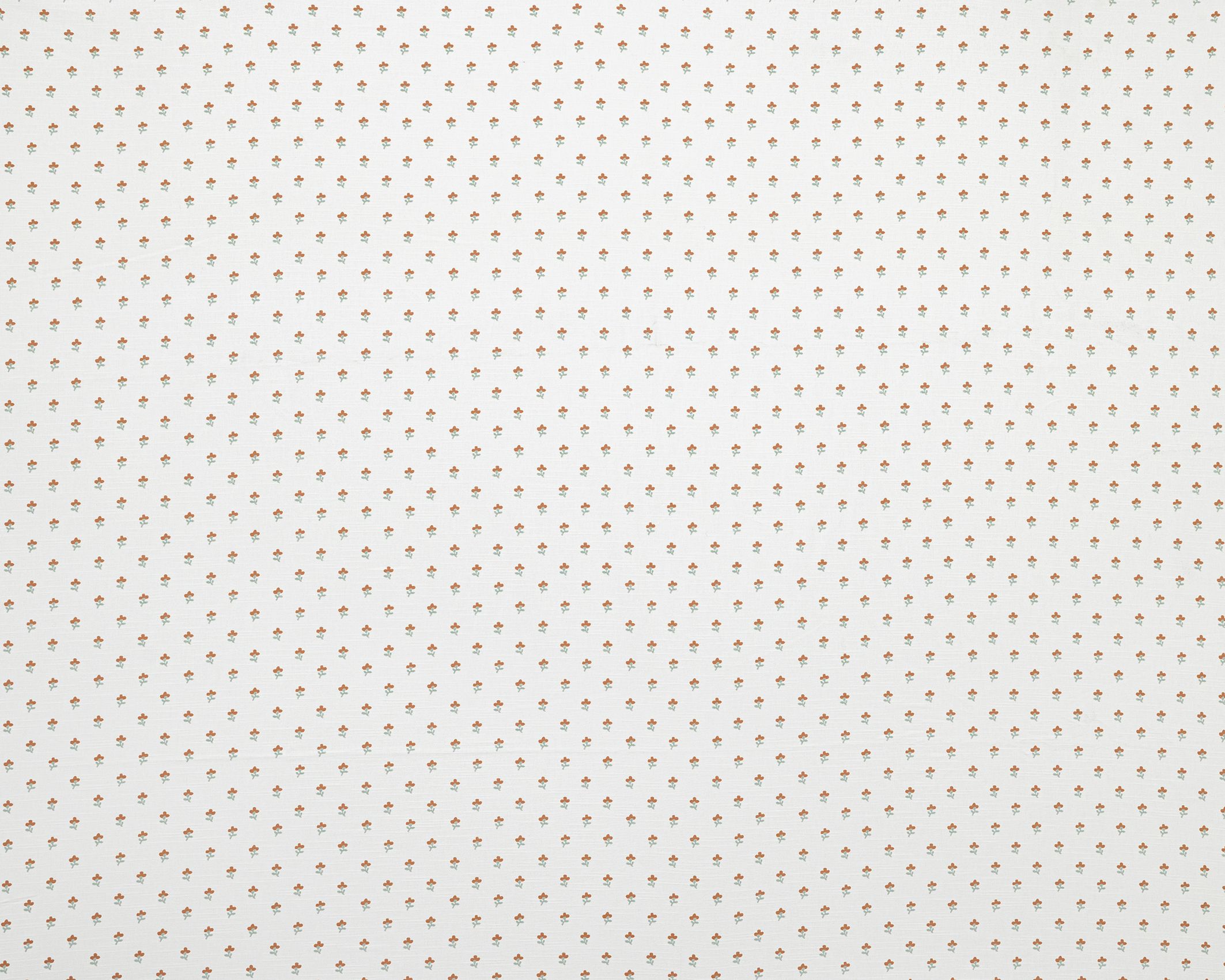 Woodviolet 2