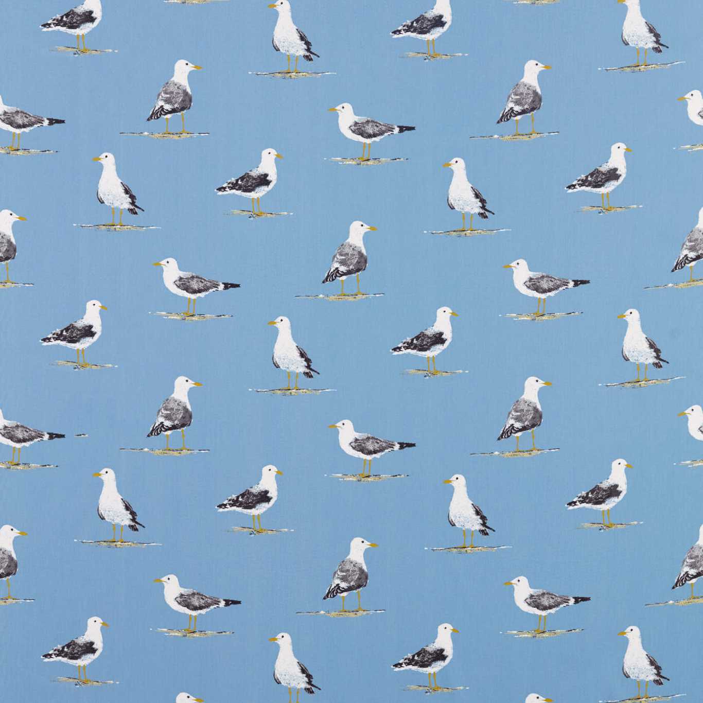 Shore Birds 3