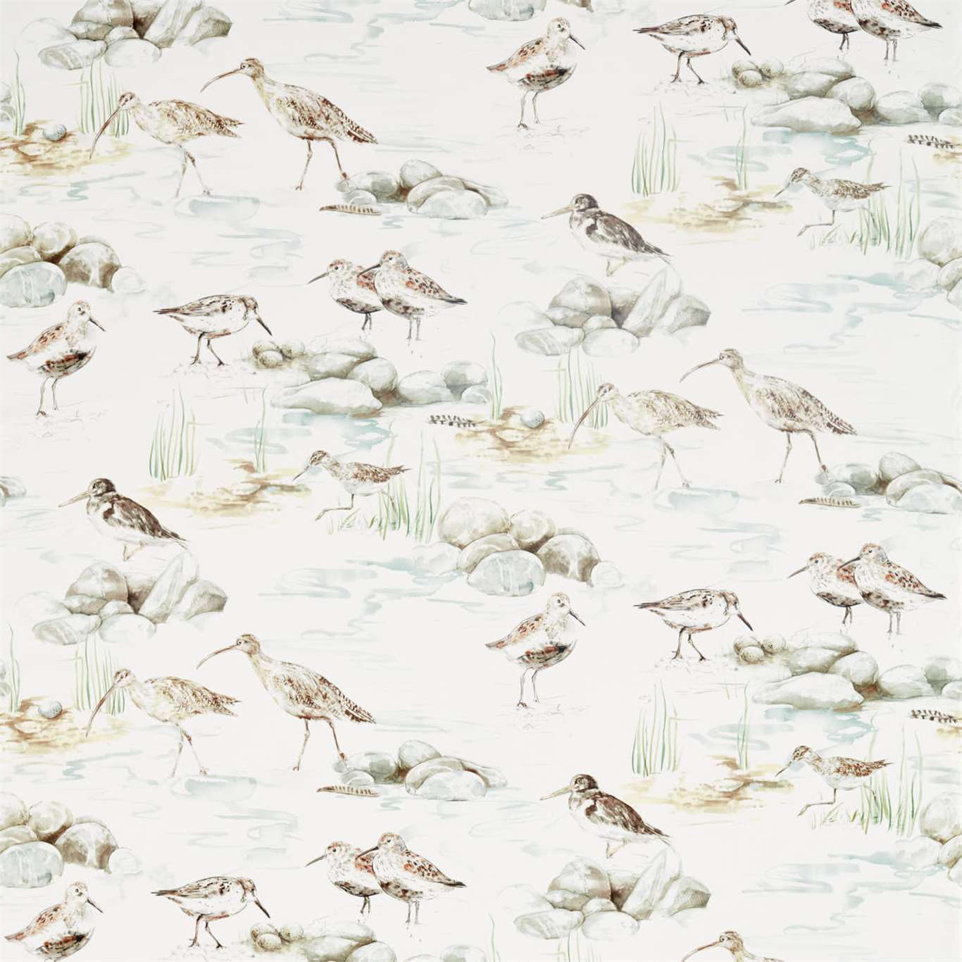 Estuary Birds 3