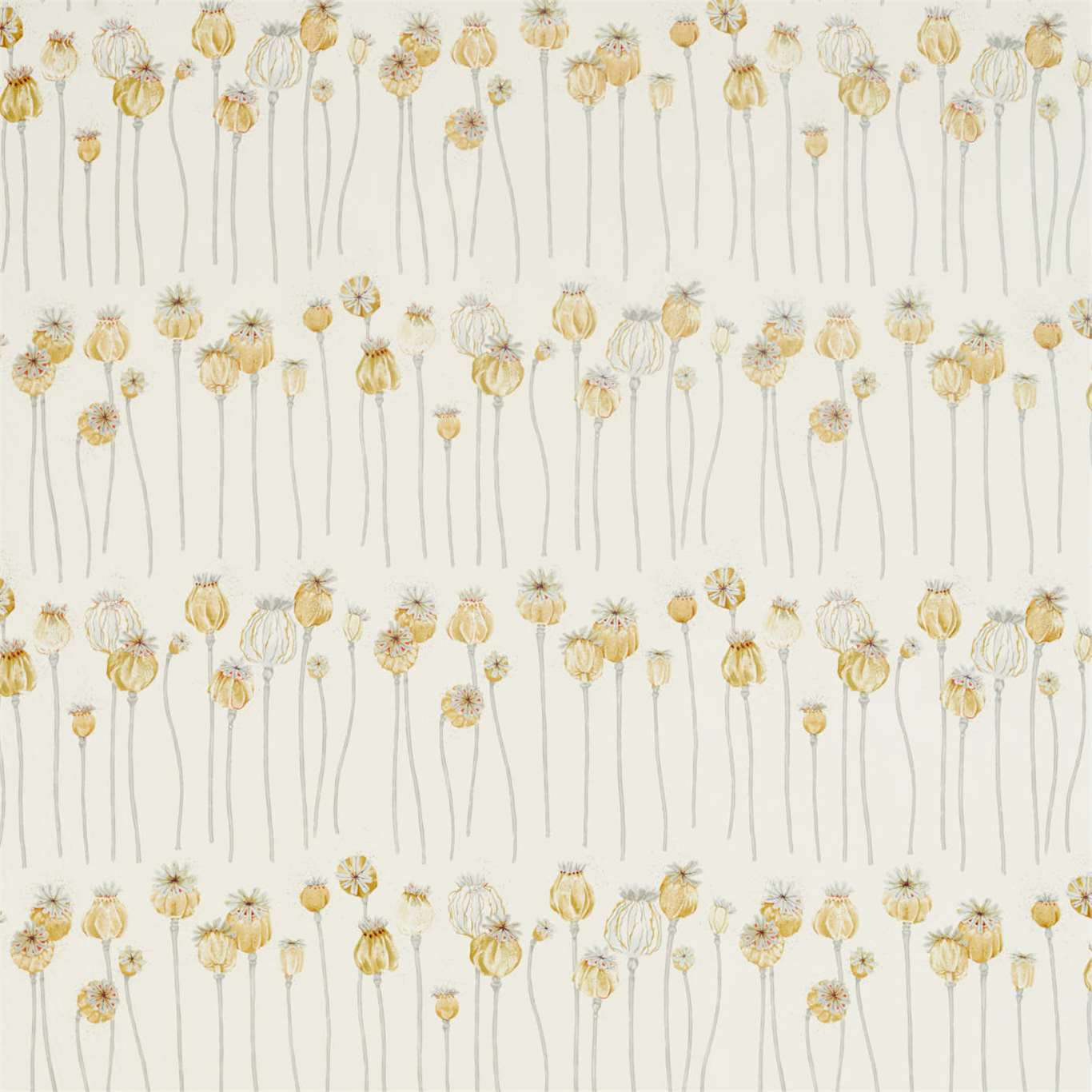 Poppy Pods 2