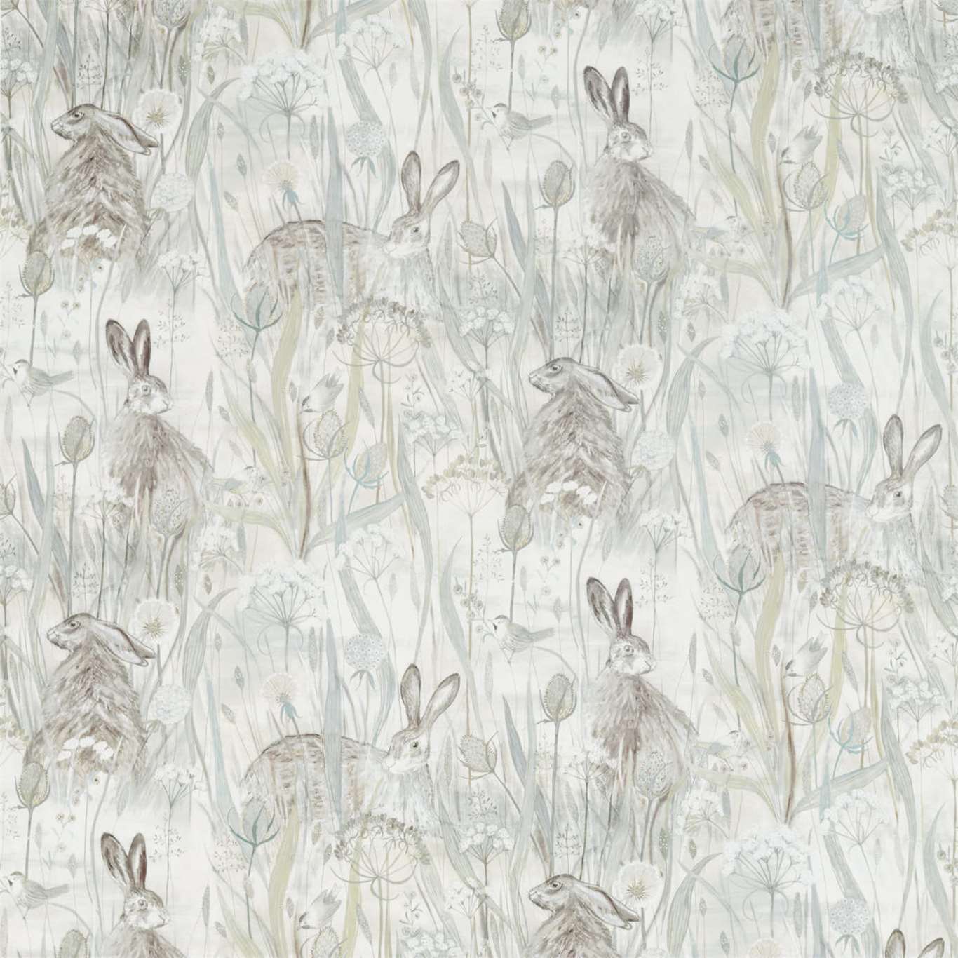 Dune Hares 2
