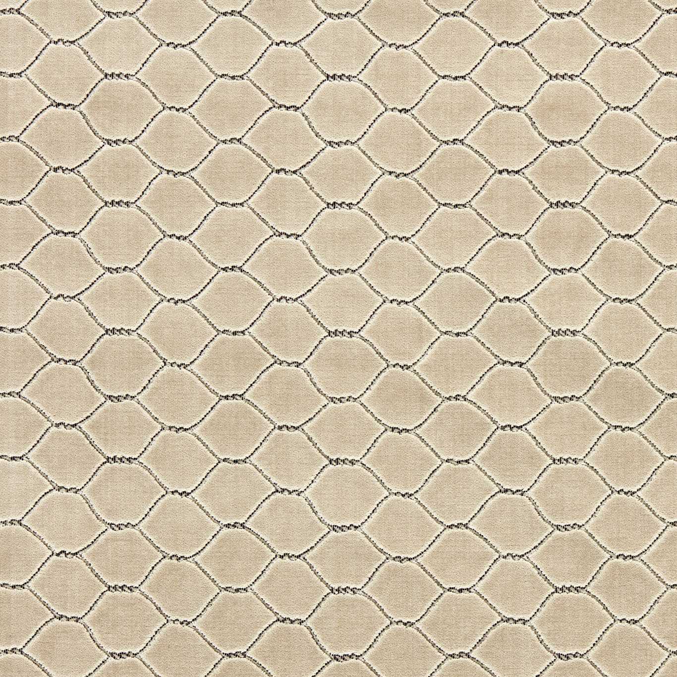 Faraday Velvet 2