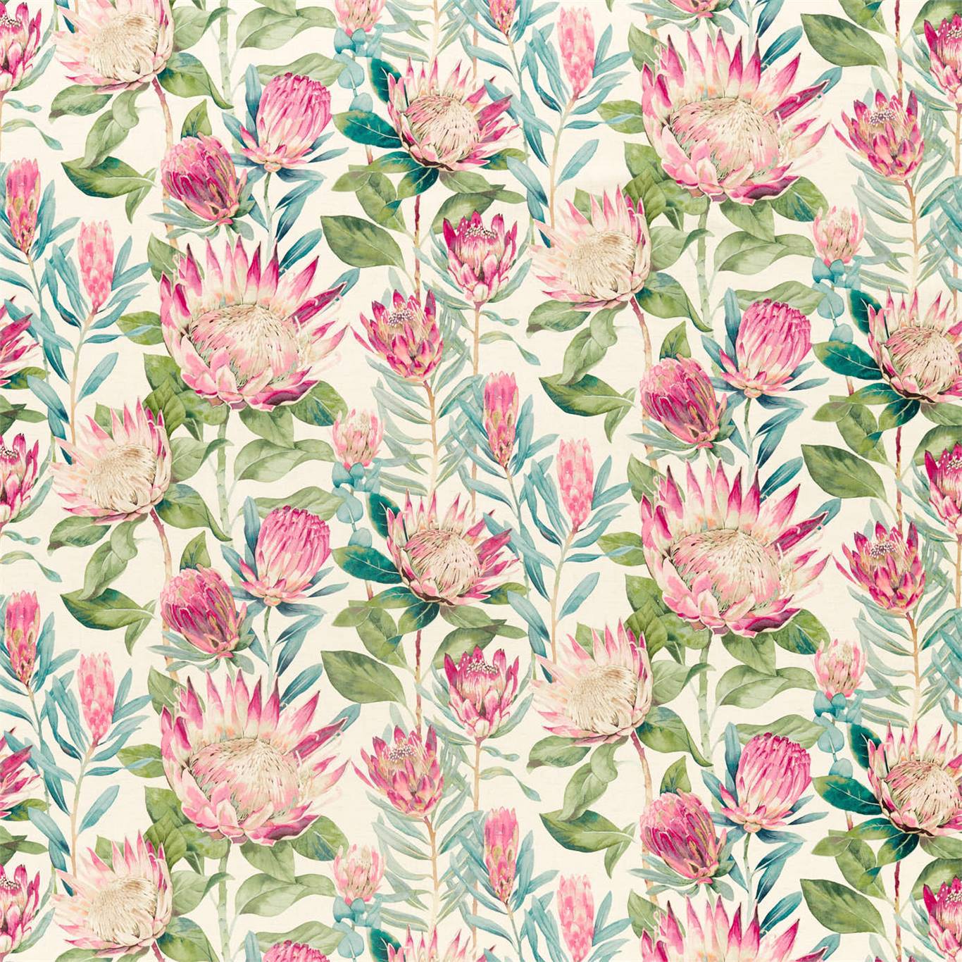 King Protea 3