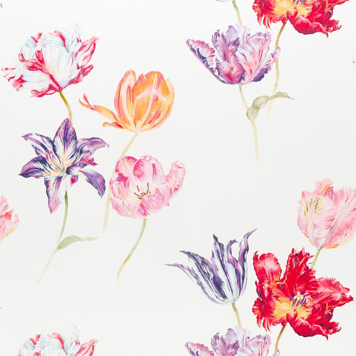 Tulipomania 2