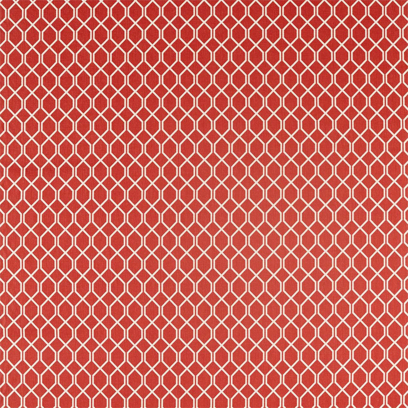 Botanic Trellis 2