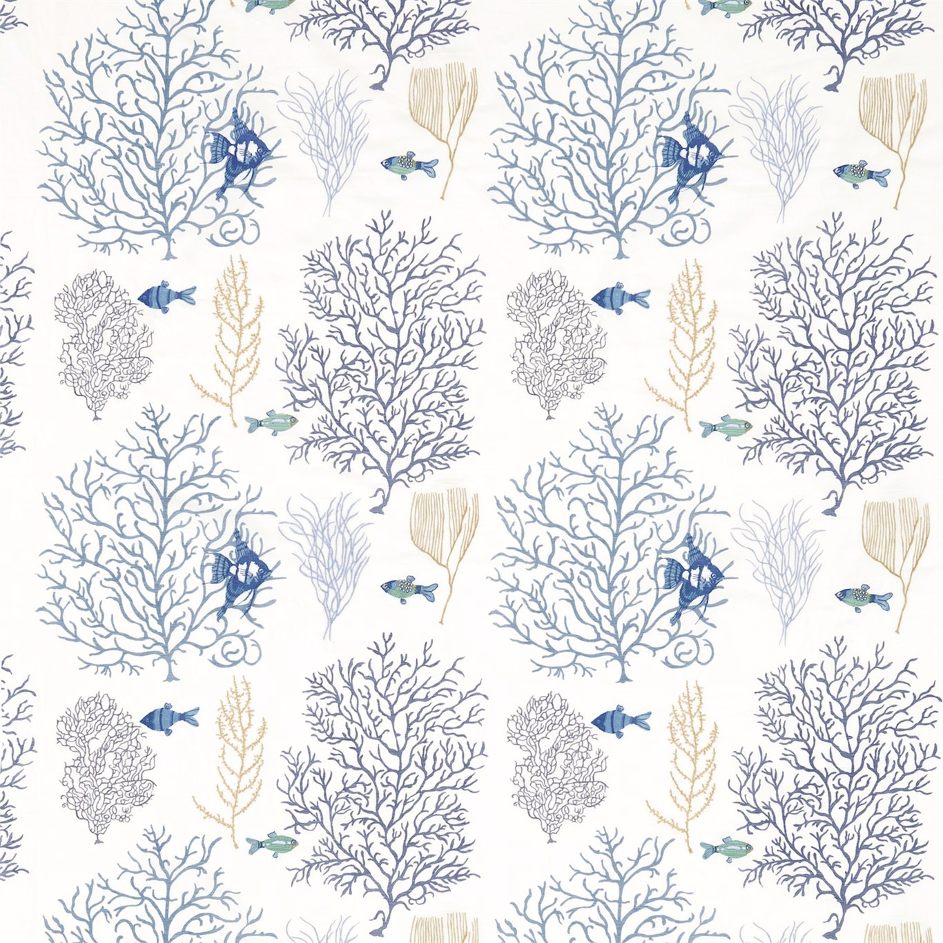 Coral & Fish