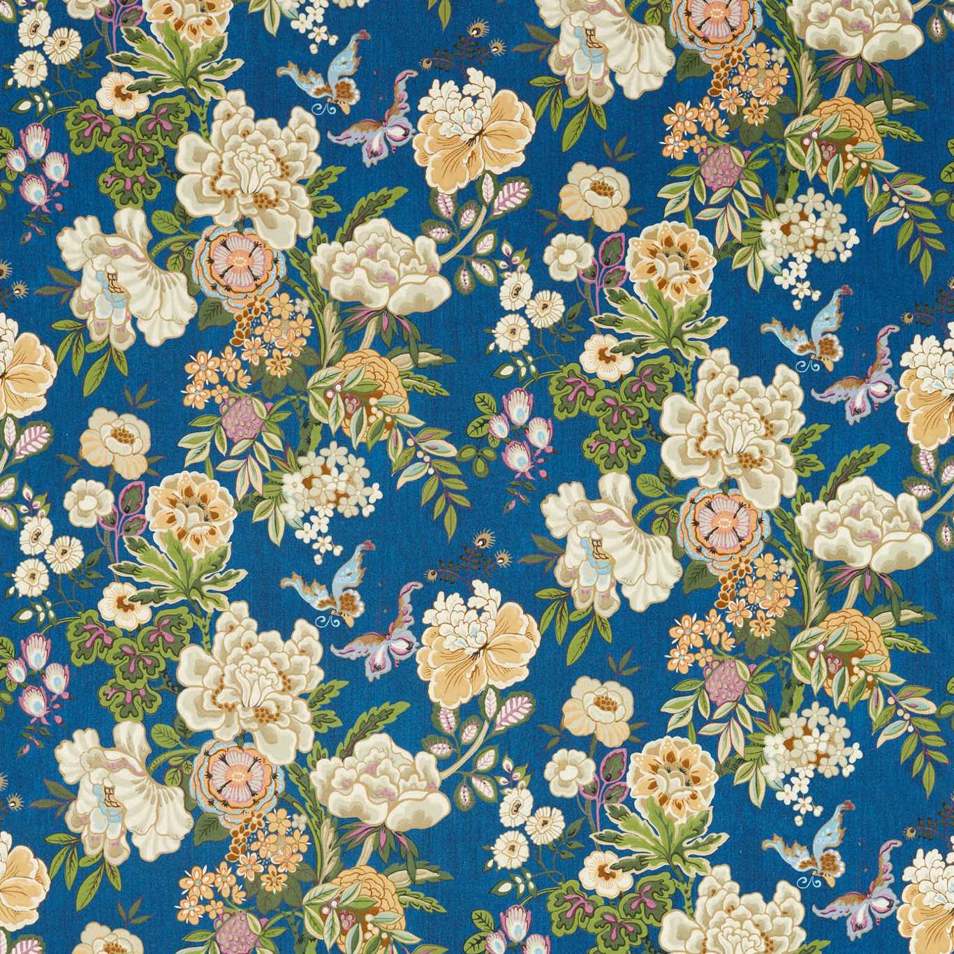 Emperor Peony