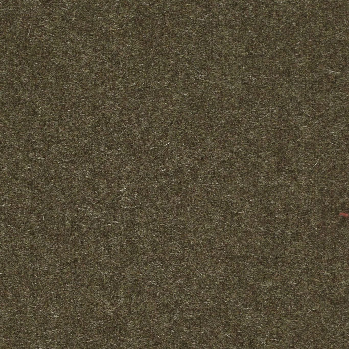 Byron Wool Plains 2