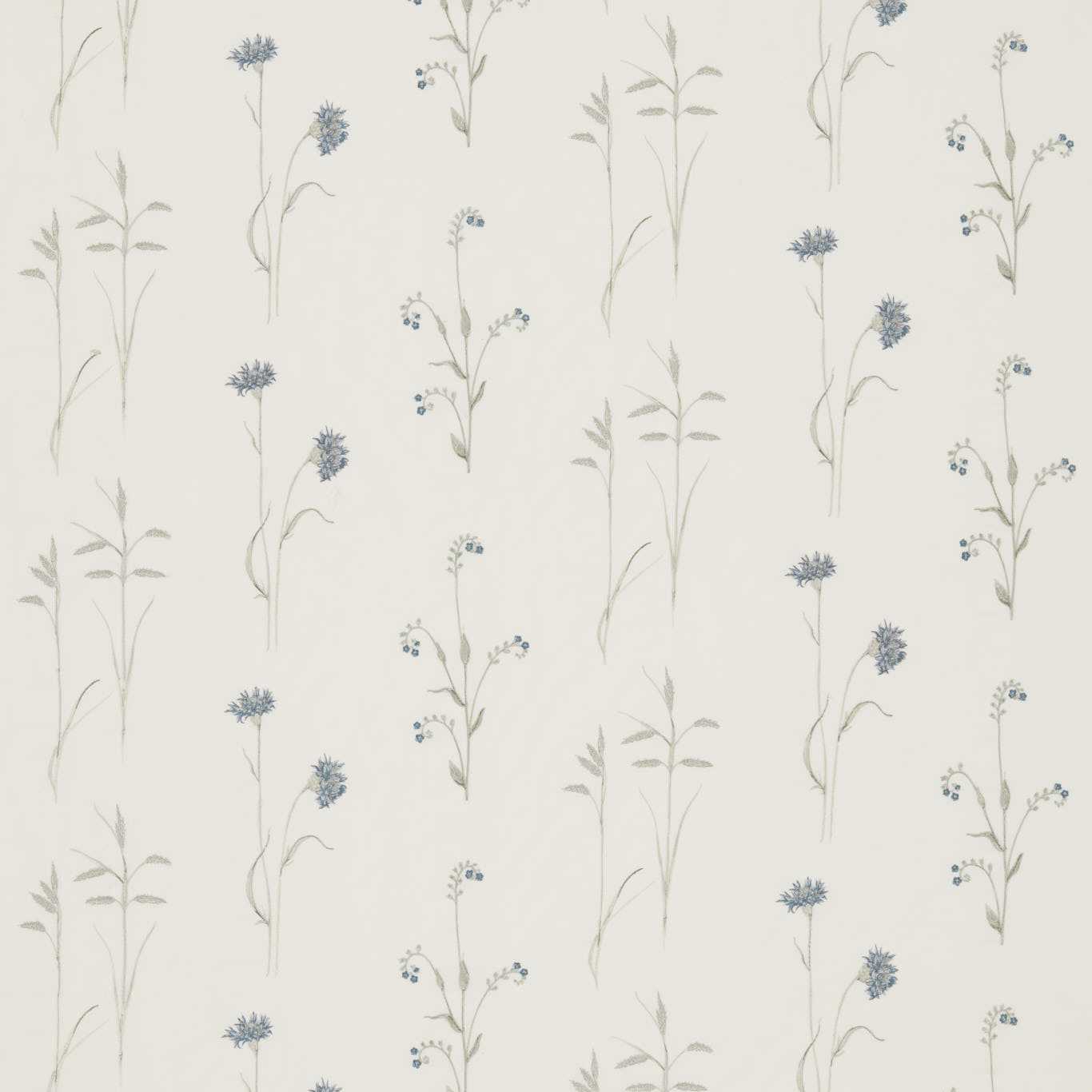 Meadow Grasses