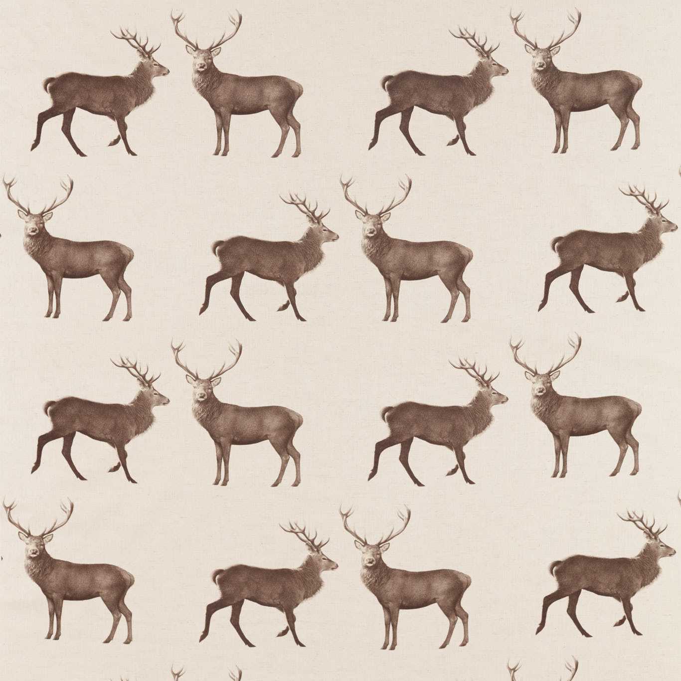 Evesham Deer 2