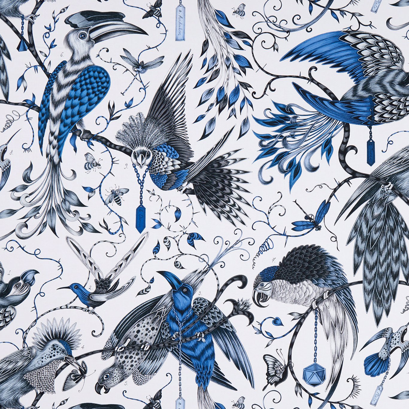 Audubon