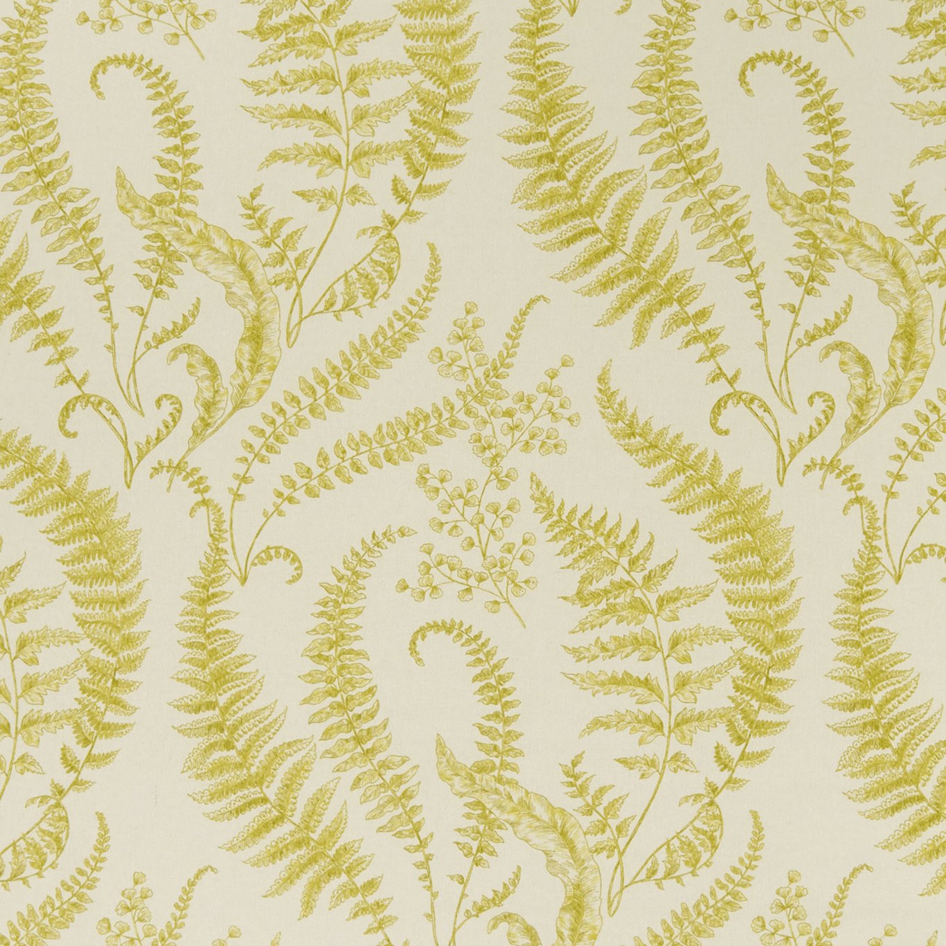 Folium