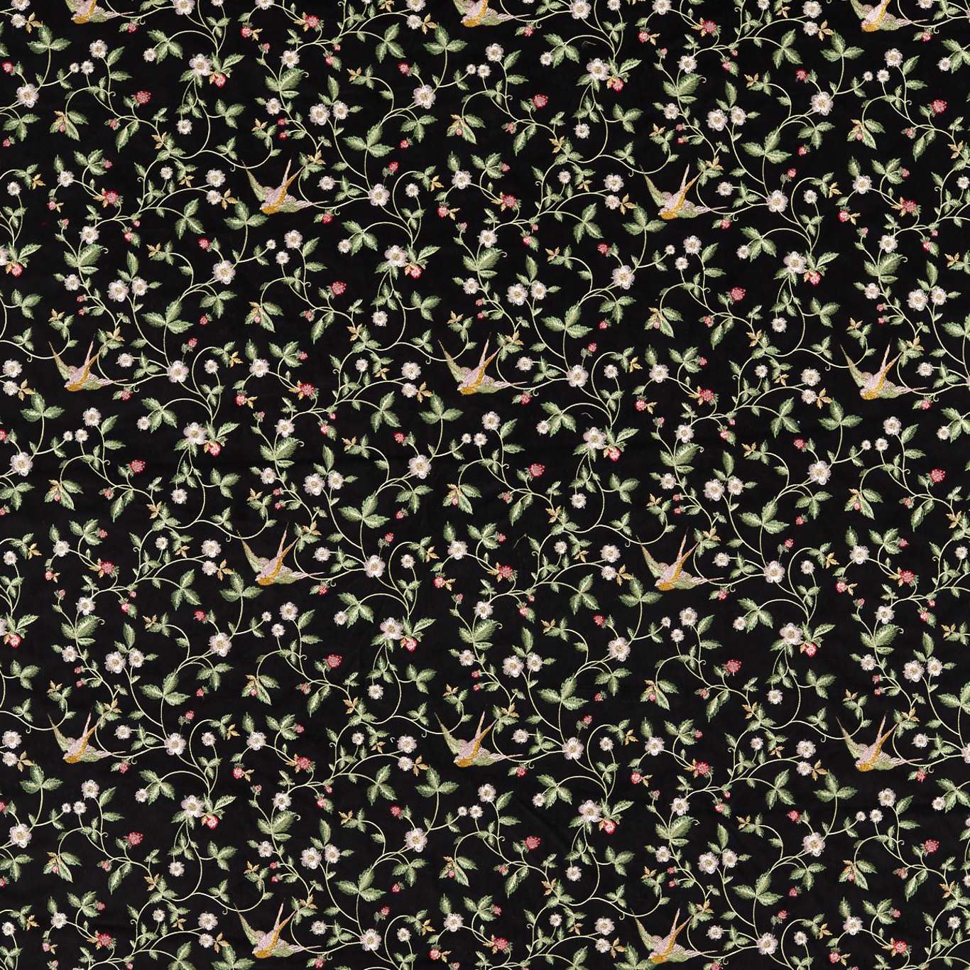 Wild Strawberry 3
