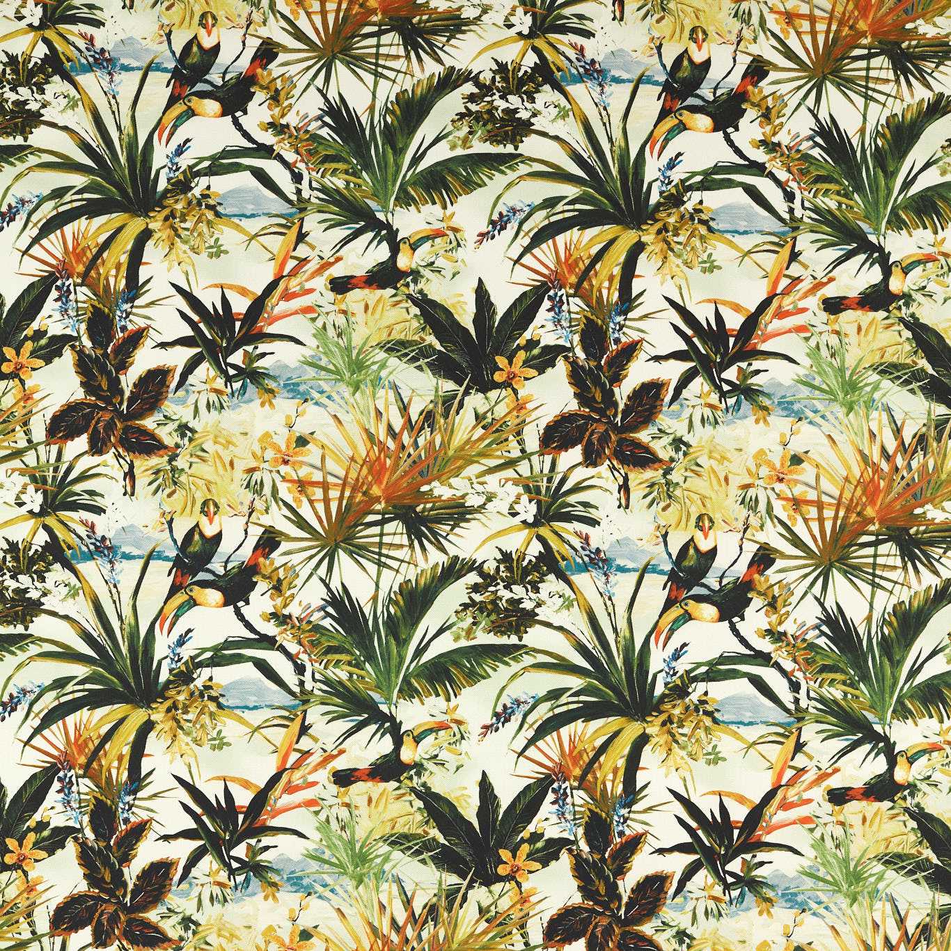 Toucan Outdoor 2