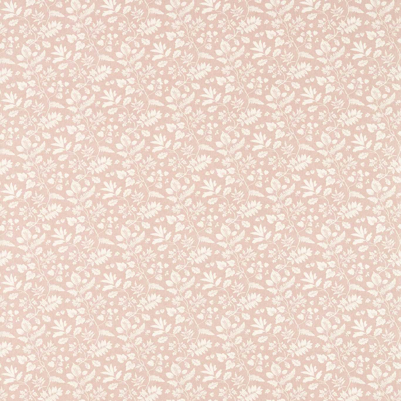 Bellever 3