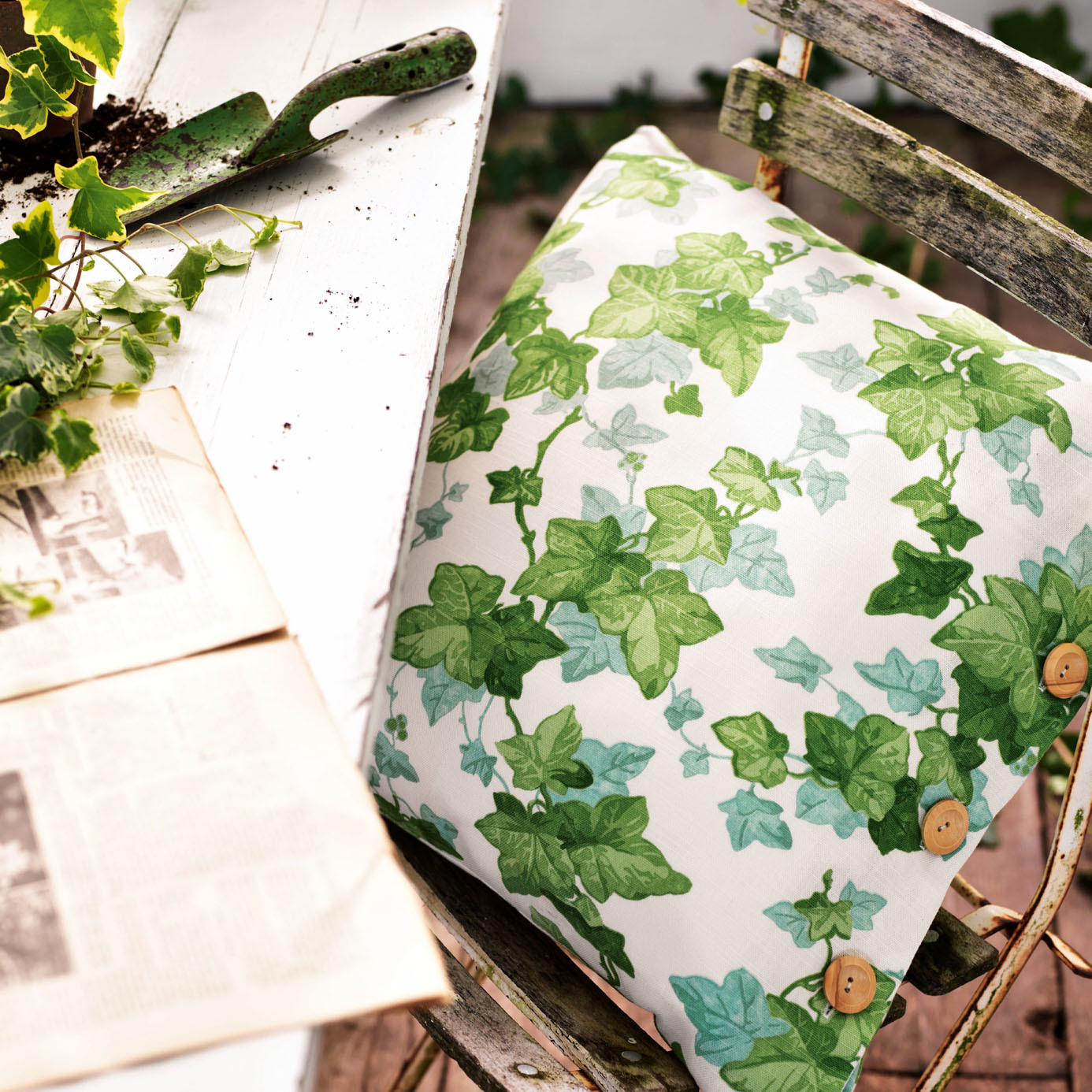 Hedera 2