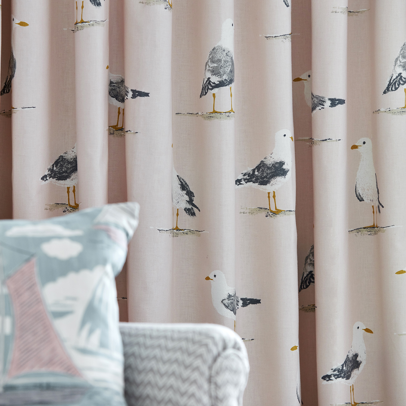 Shore Birds 2