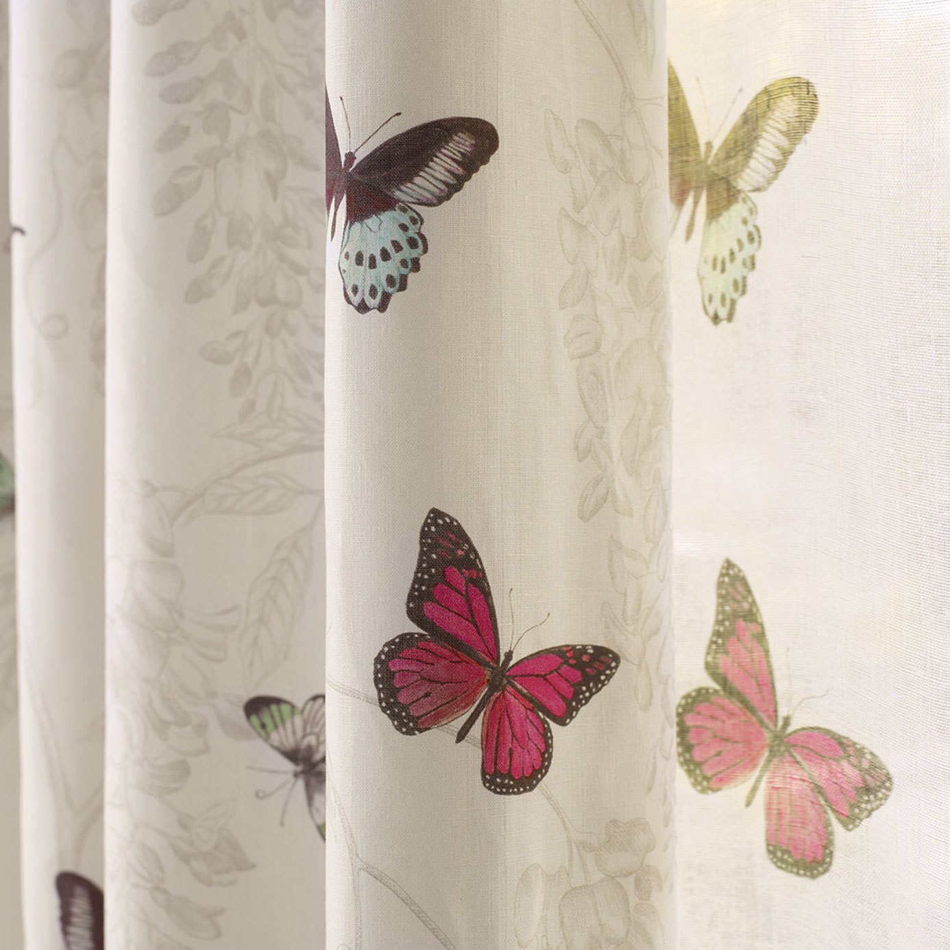 Butterfly Voile 2