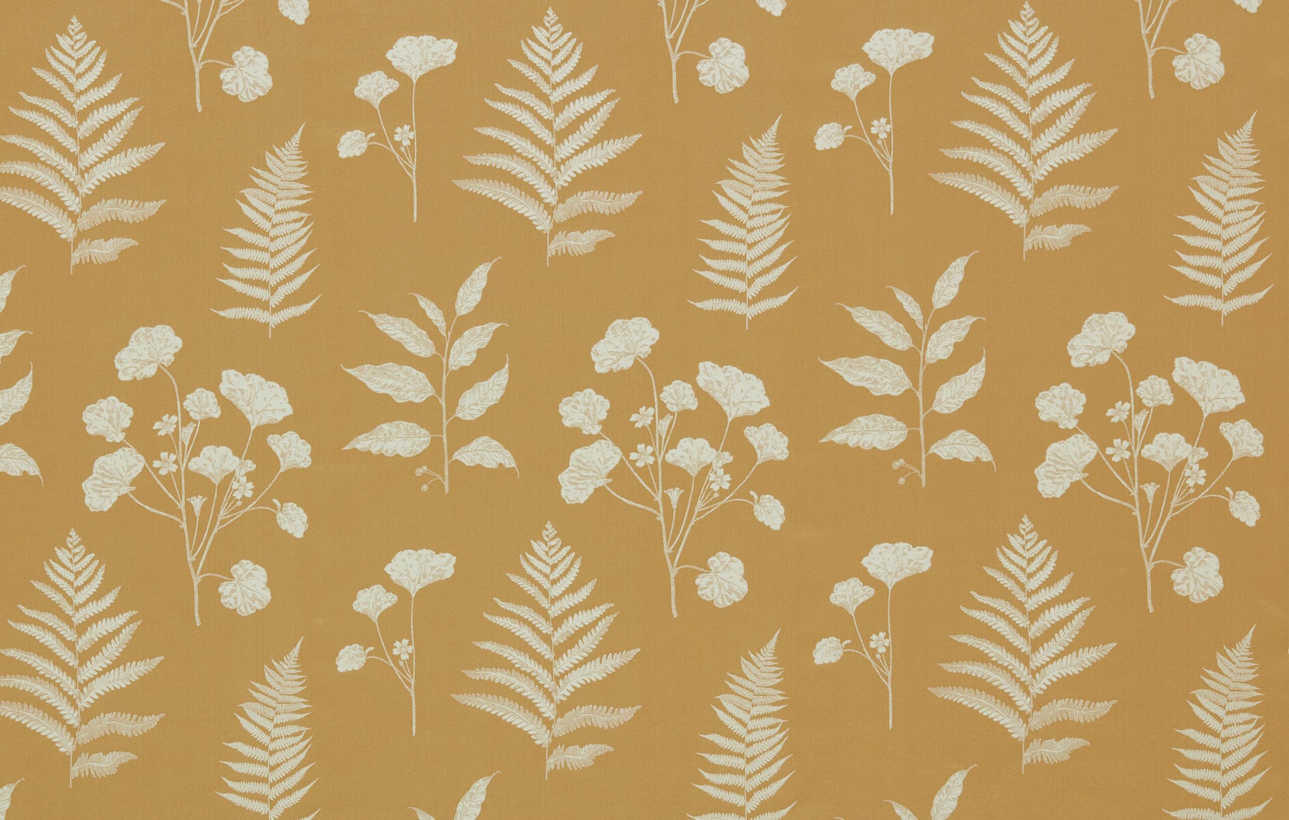 Amaranth 4