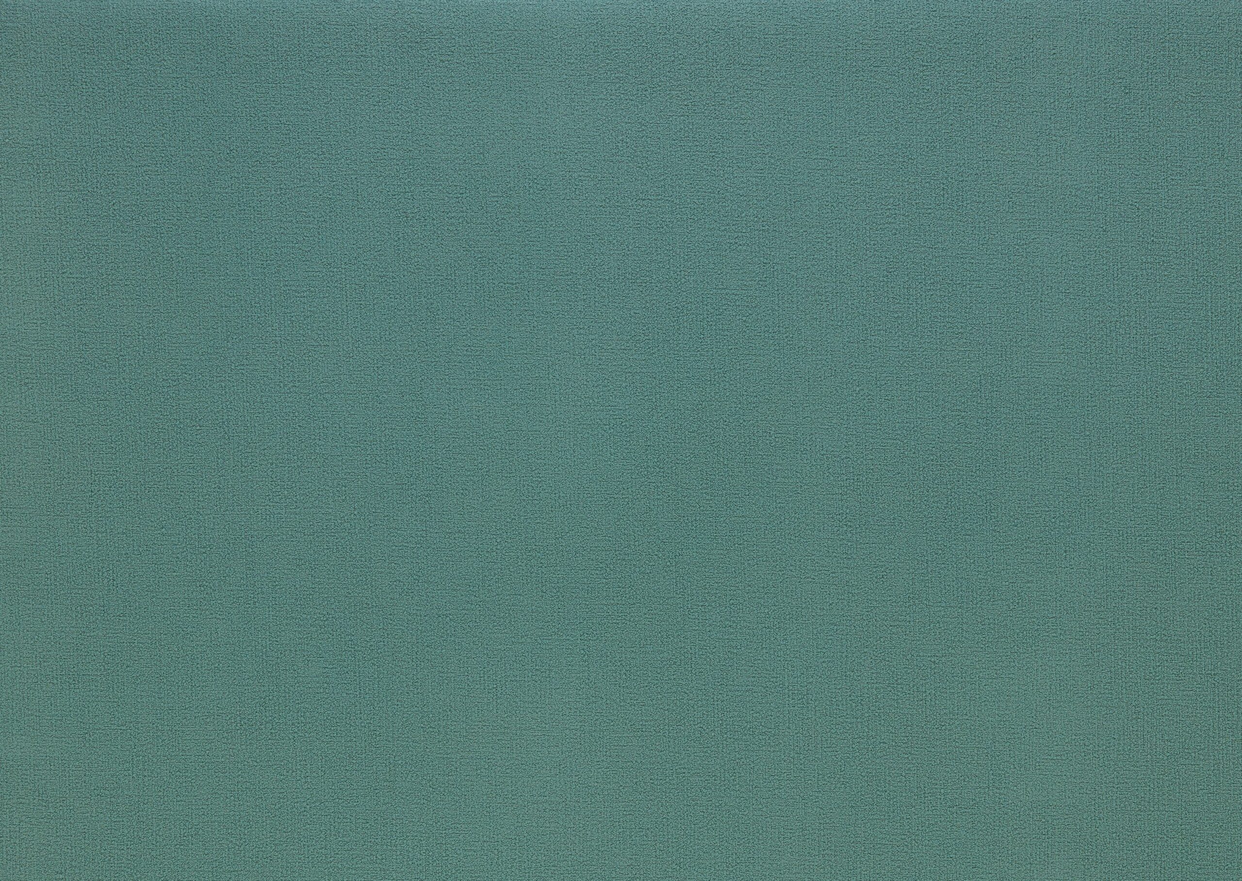 Lupine 4