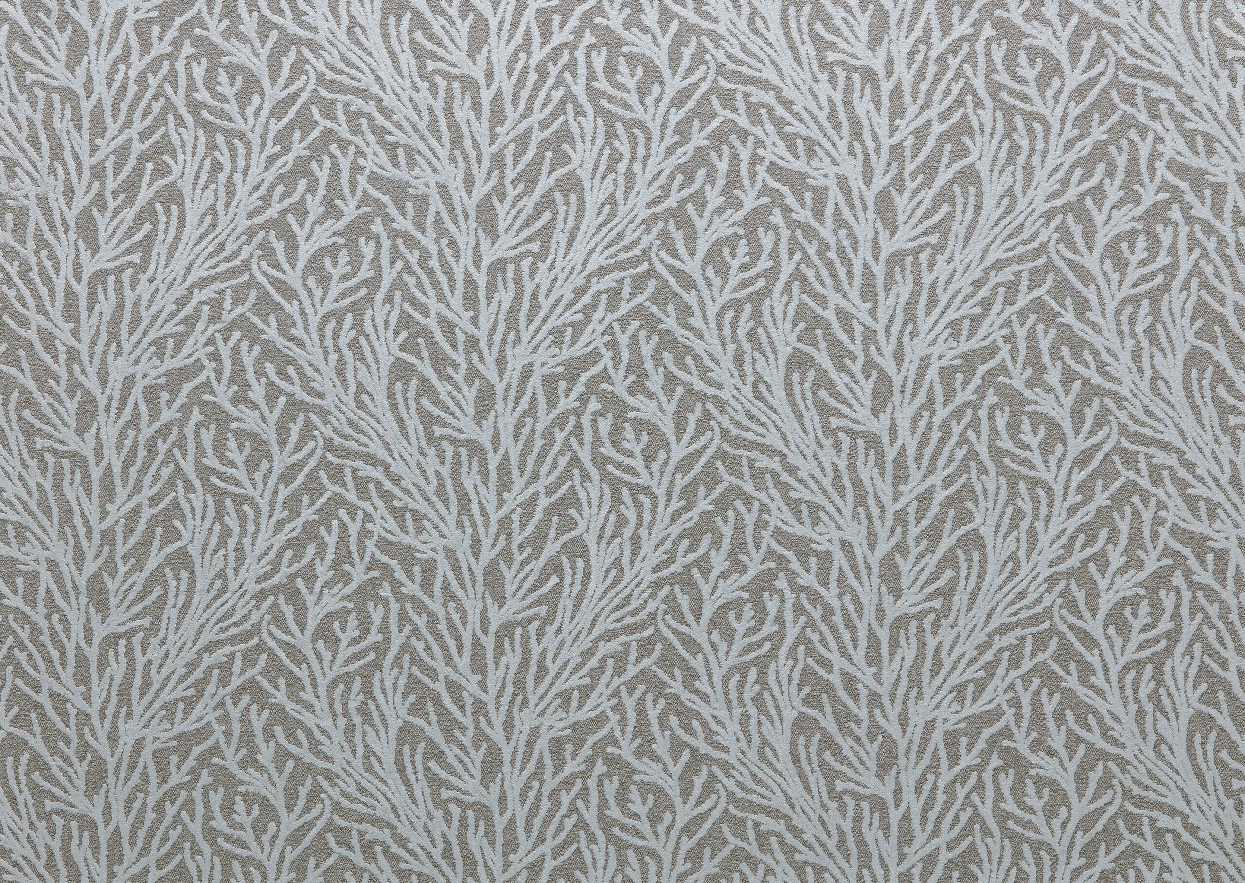 Reef 5