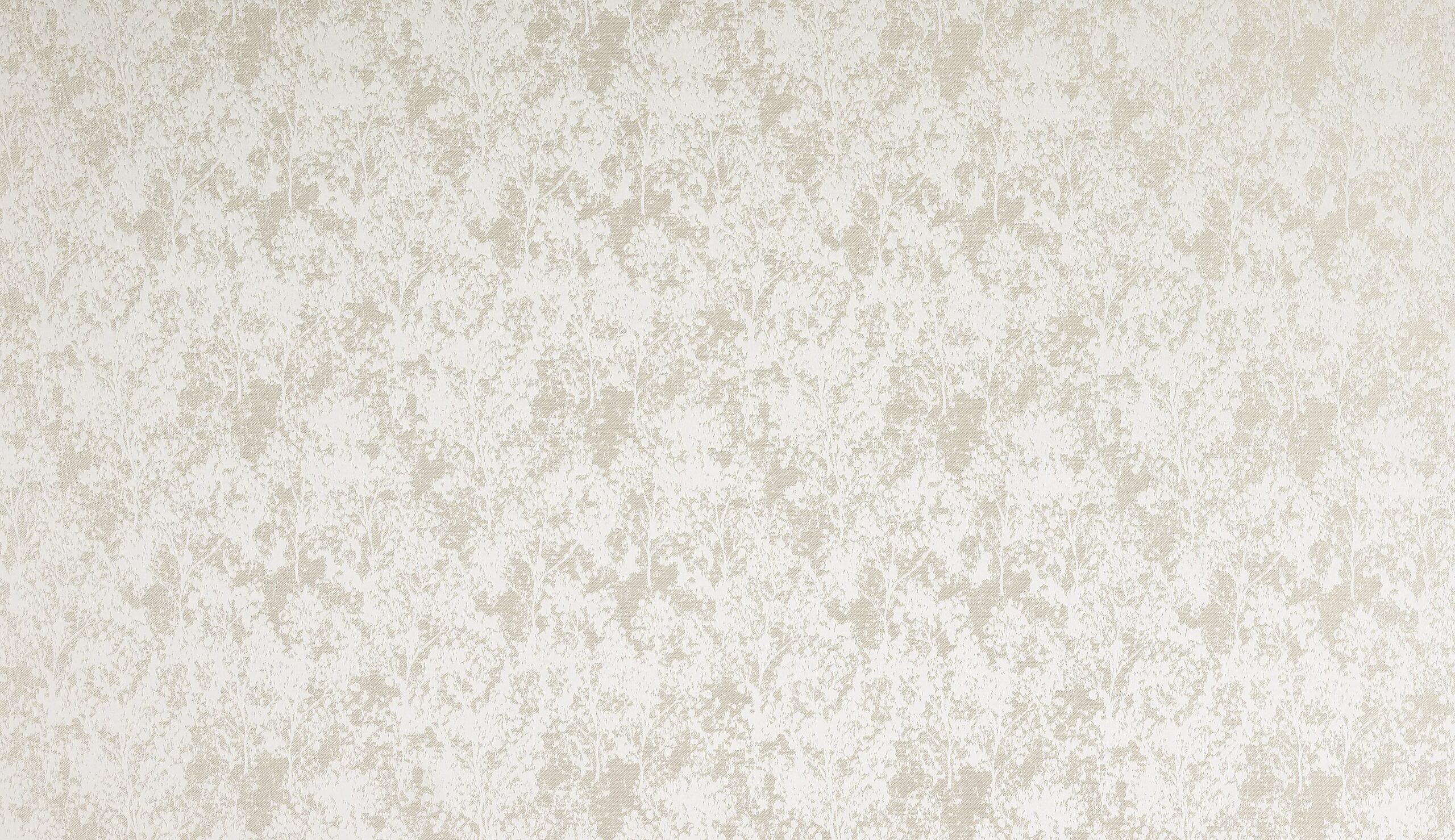 Poplar 3