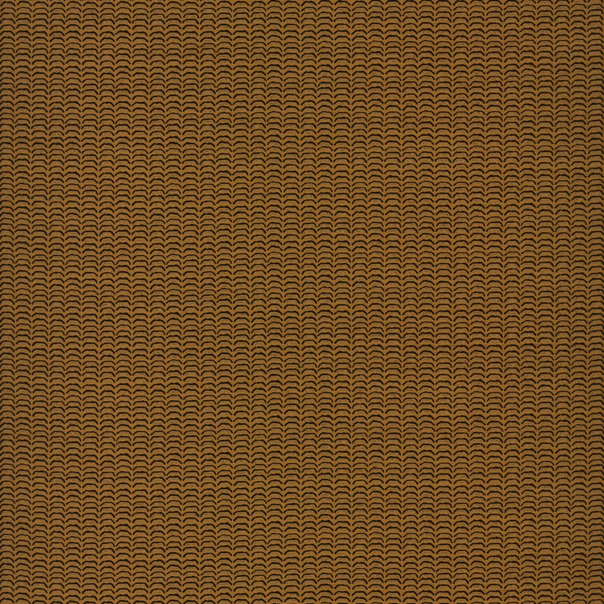 AGORI 2